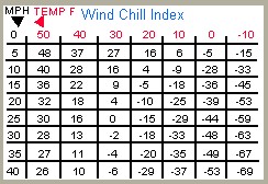 windchillindex.jpg